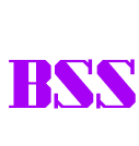 Logo da agência BSS
